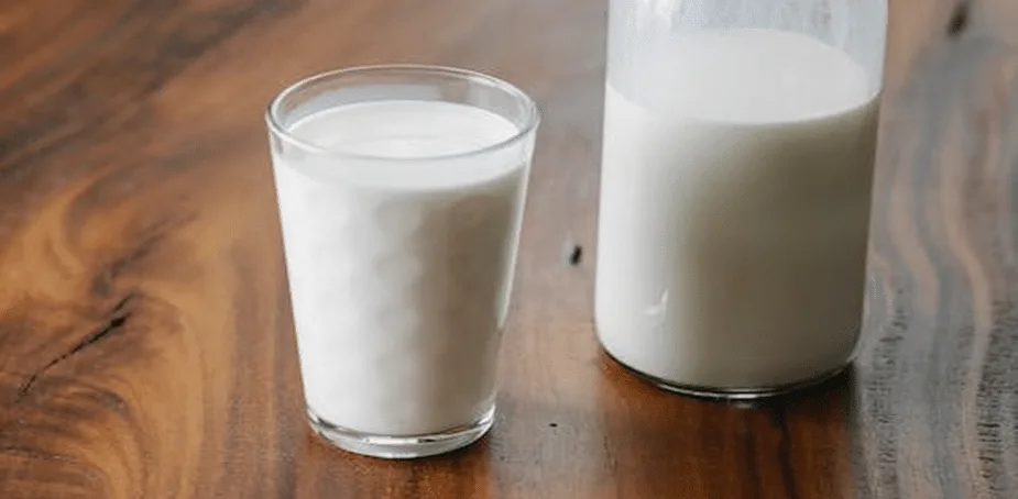 Milk for Bubble Tea