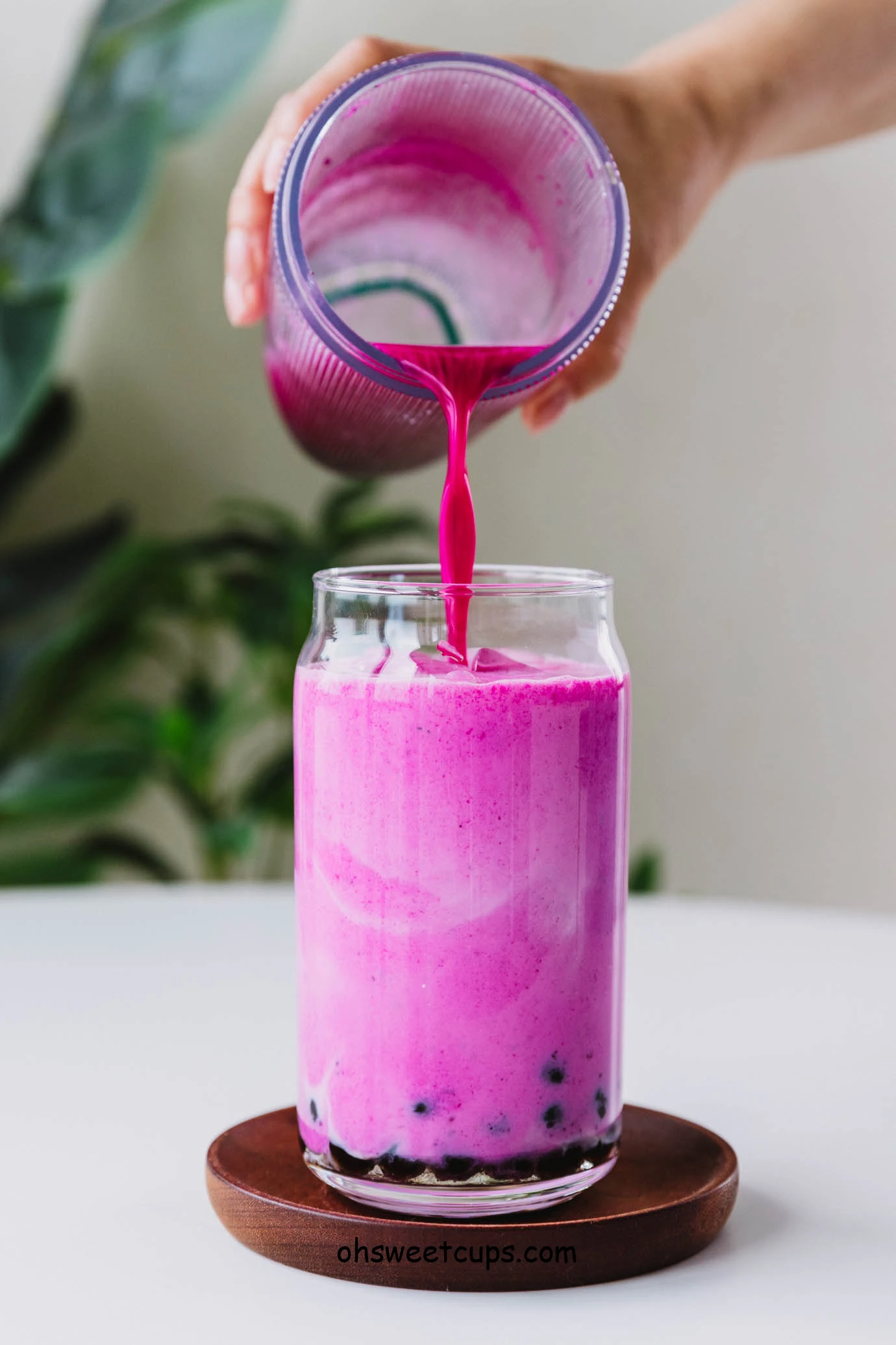 Dragon Fruit boba